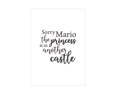 Cadre SORRY MARIO